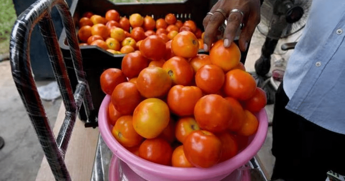 Government will sell tomatoes at Rs 50 per kg from today, prices will decrease in Delhi-NCR and Bihar