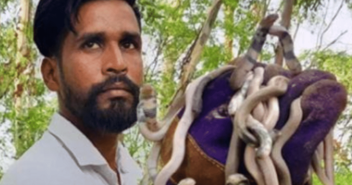 Haryana's Jogpal became the keeper of snakes, has so far carried out more than 5,600 rescue operations
