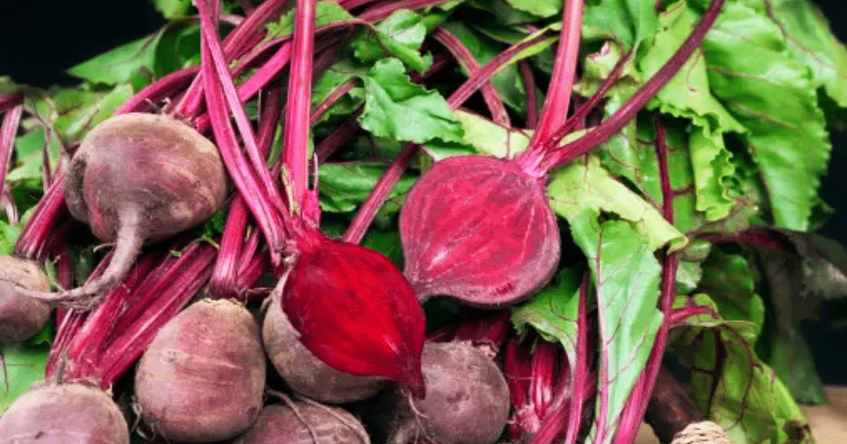 Include beetroot in your diet, health will shine