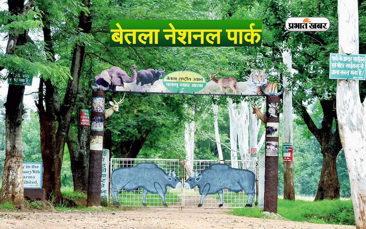 Jharkhand Tourist Destinations: Plan to visit Betla National Park, tour will be best in this season