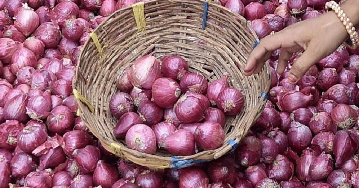 Onion Price: Now onion will not be expensive in the festival, NCCF buys 2,826 tonnes of onion from farmers for buffer stock