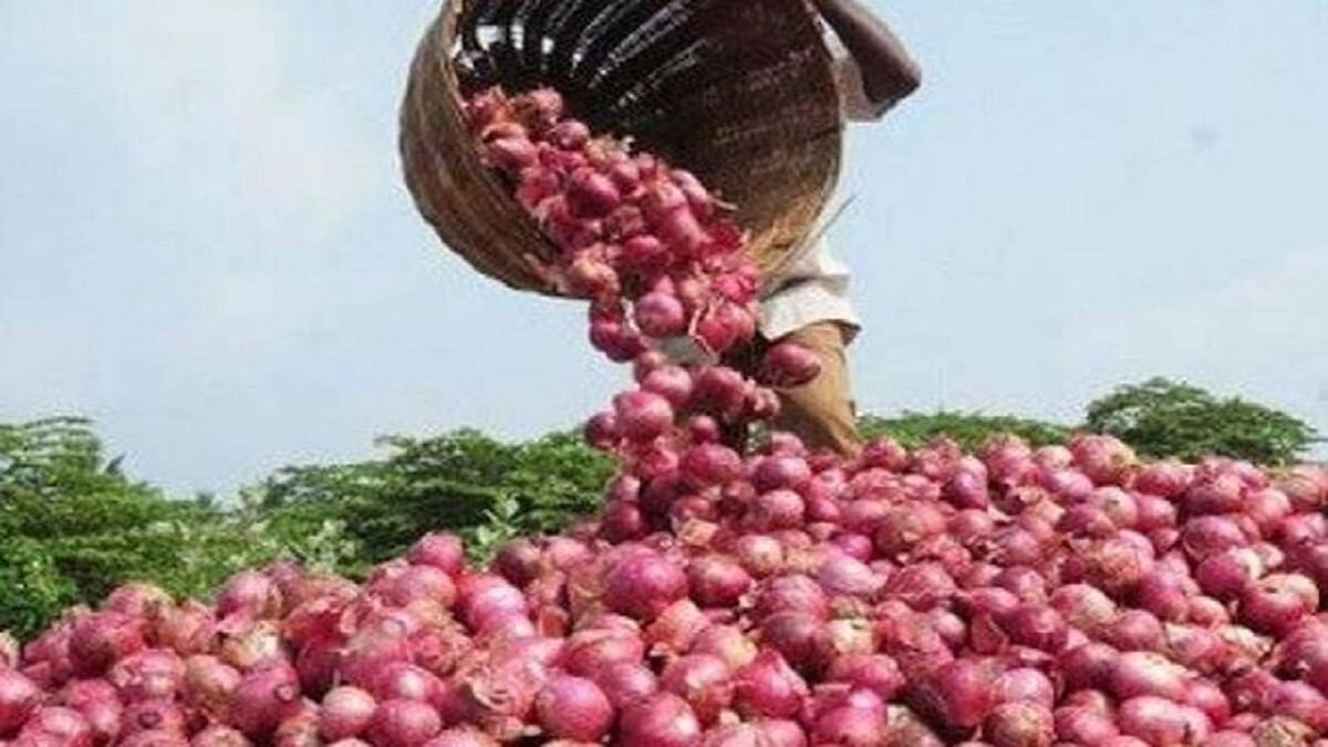 Onion Price: Onion will bring tears after tomato, fire can separate in price, know what is the reason