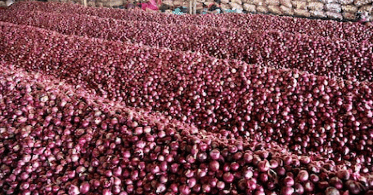 Onion Price: Traders started protesting against imposition of duty on onion exports, sales stopped in Nashik wholesale market