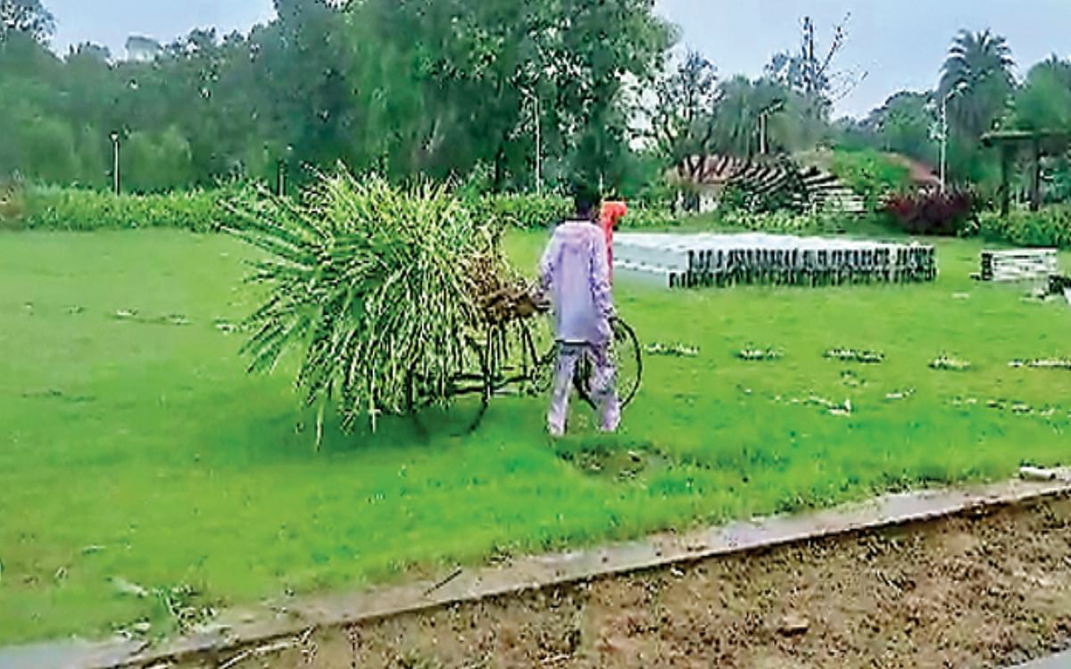 Plants being uprooted in the name of the program on World Tribal Day, the pavilion built in Birsa Munda Smriti Park was broken