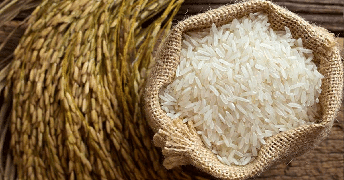 Rice Export: Central government's strict plan to control inflation, imposed 20 percent duty on rice export