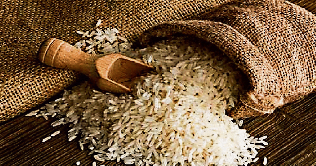 Rice Price Hike: Government strict on export of non-basmati under the guise of basmati rice, took big step, know details
