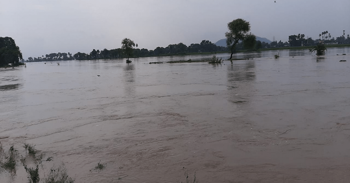 Rise in water level of Adhwara group of rivers in Bihar again, traffic on Shivhar-Motihari road disrupted