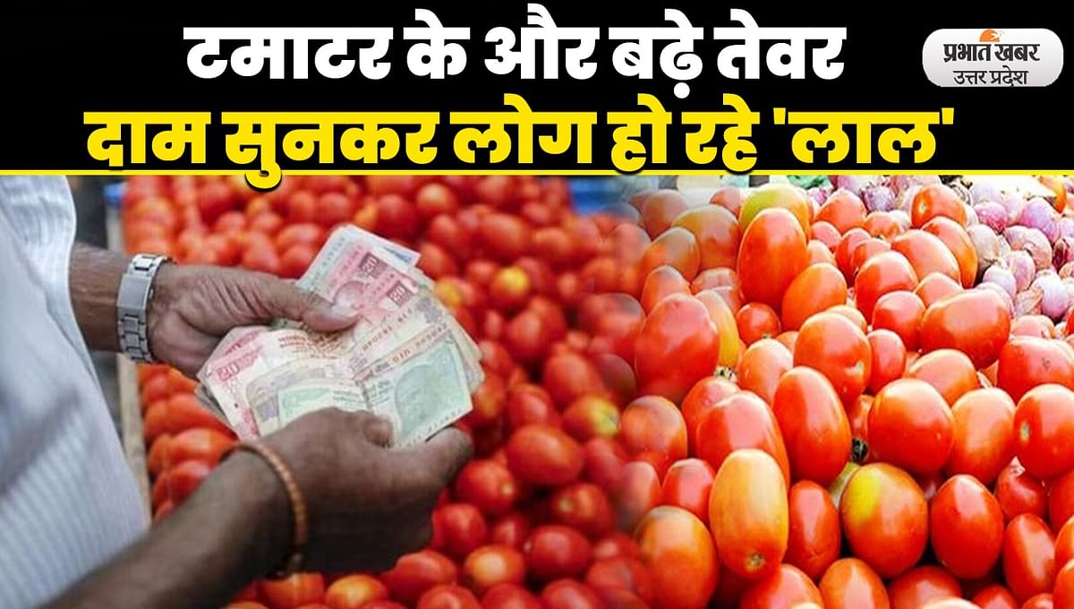 Tomato Price Today: Tomato scored a double century in UP, again became expensive, kitchen budget is deteriorating due to lack of price