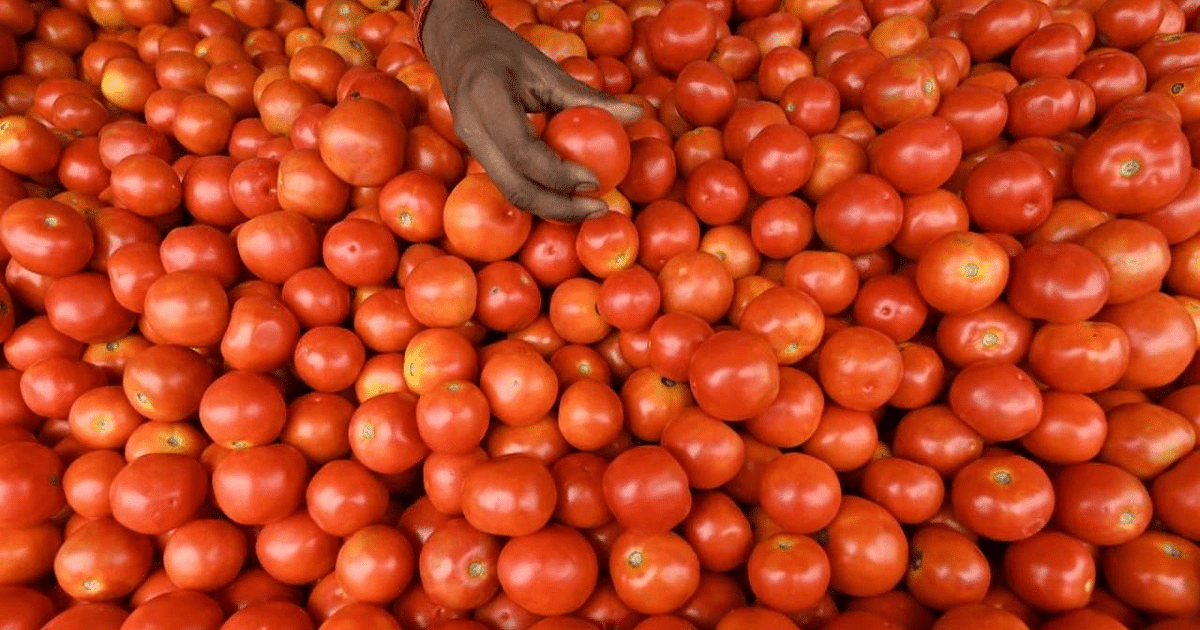 Tomato being imported from Nepal will be sold in this state at Rs 50 per kg