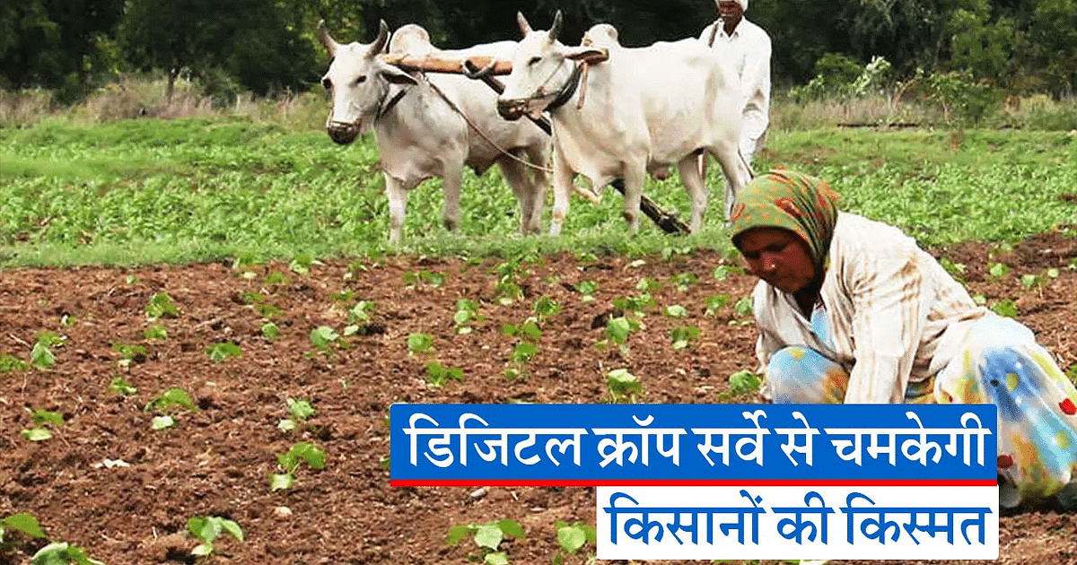 UP Farmer: Digital crop survey will bring prosperity in the lives of farmers