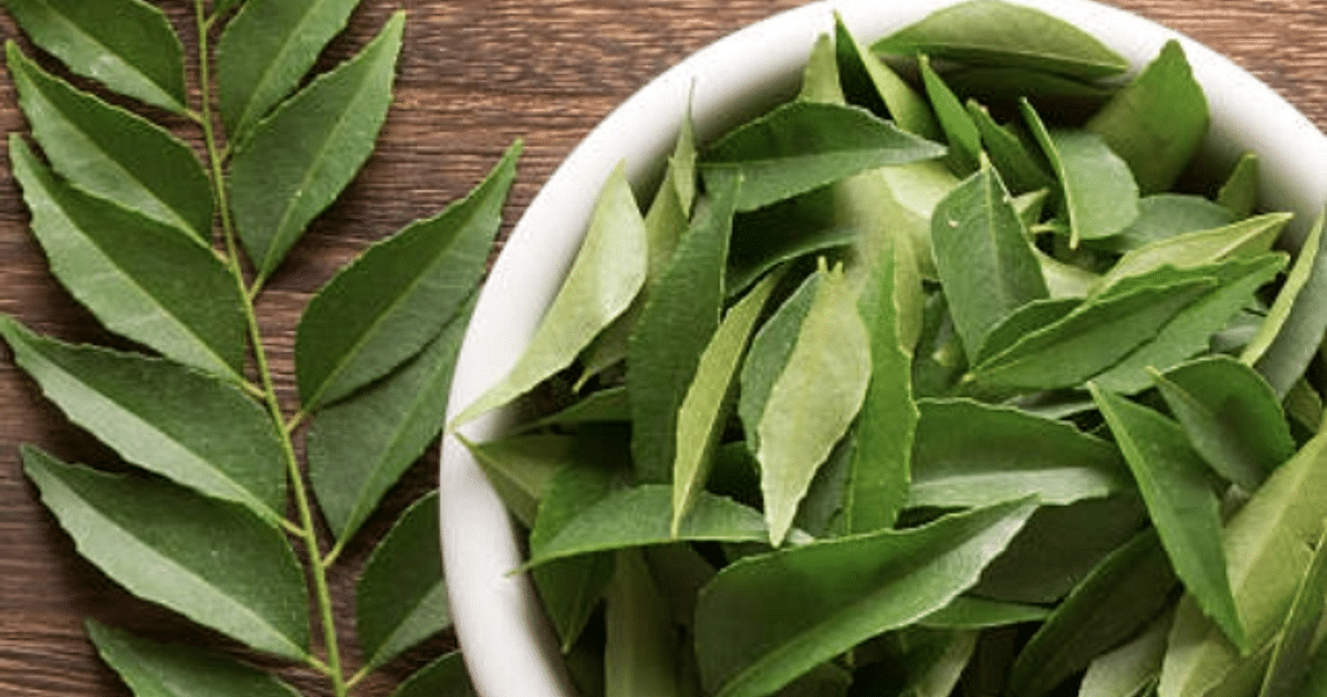 Lifestyle: How to store curry leaves for a long time, try these easy tips