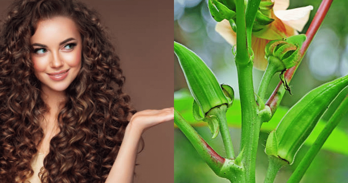 Beauty Tips: Ladyfinger makes hair silky and long, know its surprising benefits