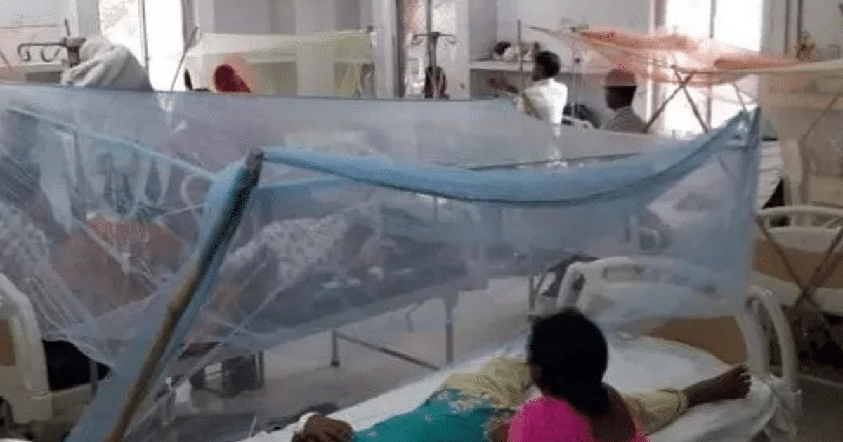 38 new dengue patients found in Patna in 24 hours, figure reaches 298