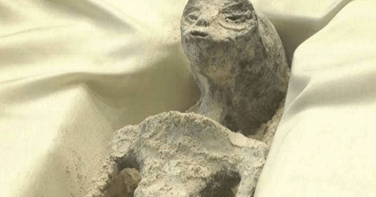 Alien Dead Bodies Found in Peru: 1000 year old alien body kept in Mexico Parliament