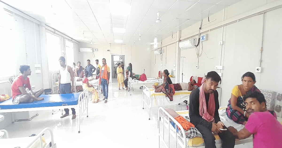 Bihar: Three variants of dengue are creating terror in Bhagalpur!  More than half a dozen patients have died