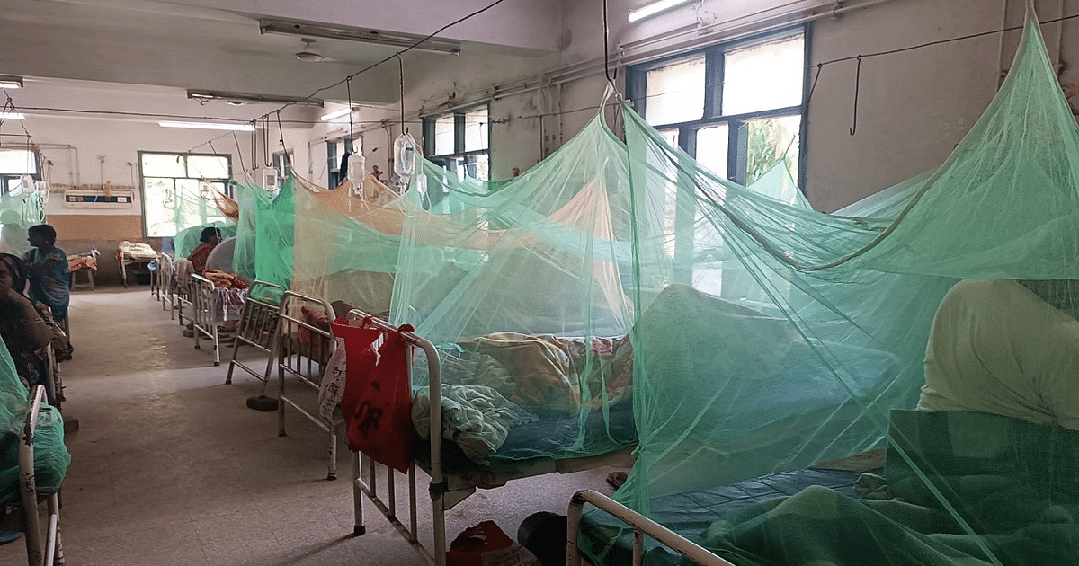 Dengue sting reached 31 districts of Bihar, most infected patients are coming from Punjab