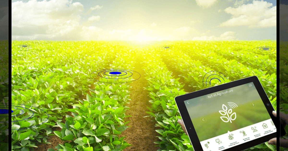 How are IoT and AI transforming farming?  Read this special report