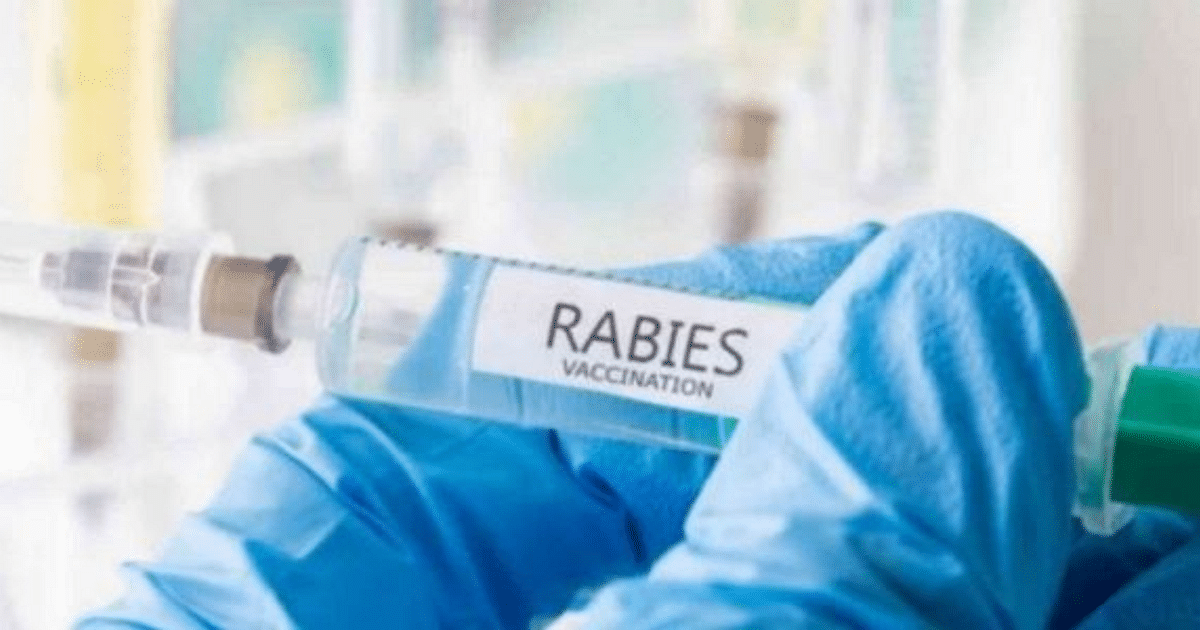 If dog bite is not taken seriously, it can lead to death, anti-rabies vaccine will be available free of cost in Bihar from today