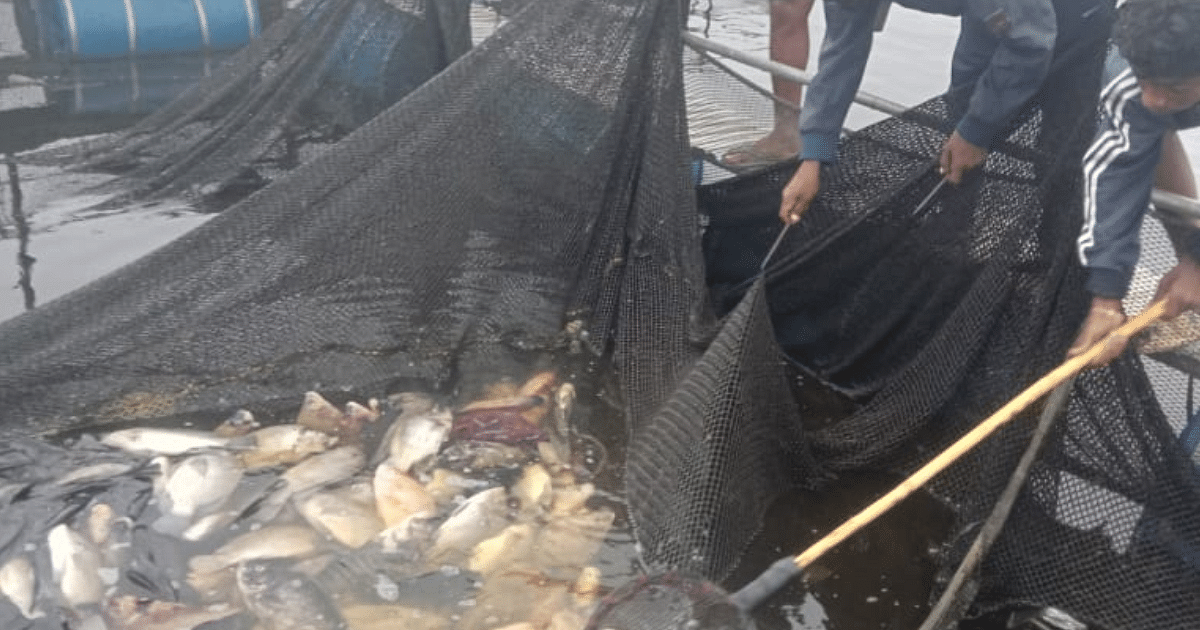 Jharkhand: Order for investigation into the death of more than 50 quintals of fish in Getalsud Dam, read these 10 important news.