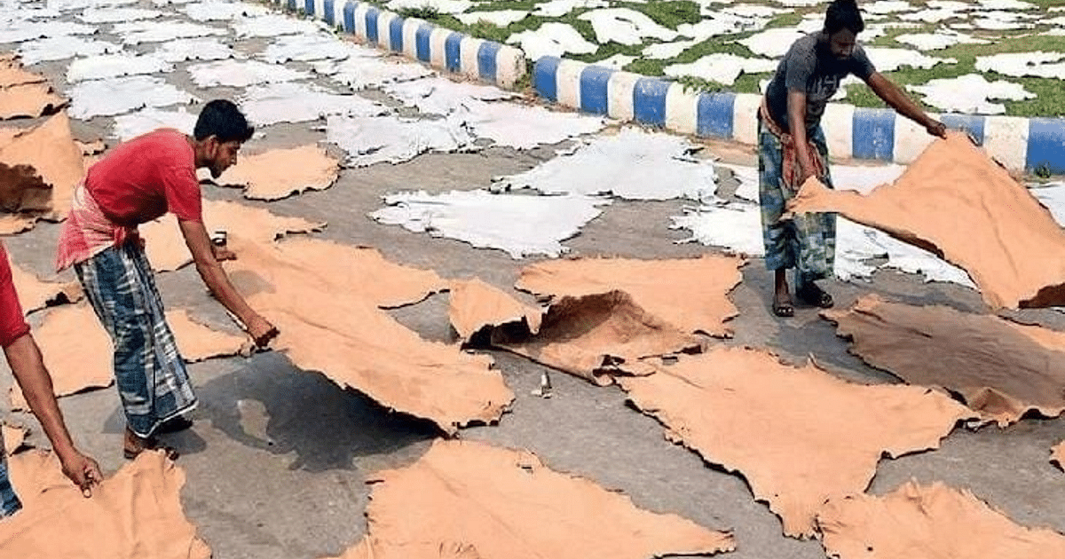 Kanpur News: Illegal drying of leather in the open was heavy, government sent notice to 4 tanneries