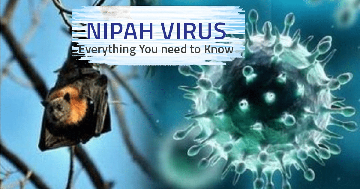 Nipah Virus: Two died due to Nipah virus, know how it spreads and what are the preventive measures.