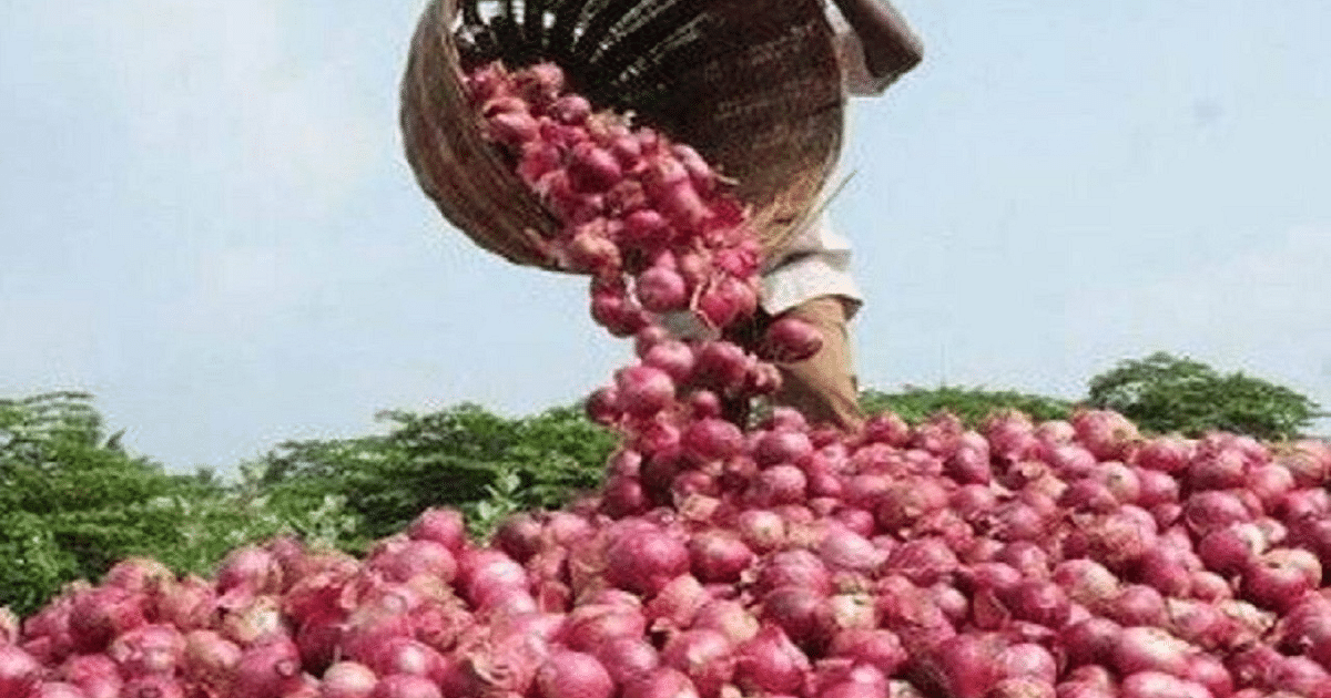 Onion Price Hike: Tomato became cheaper, but onion is still showing color, know when the kitchen budget will be restored