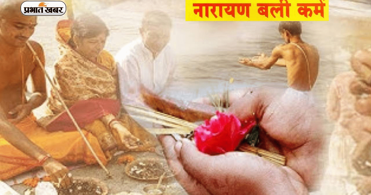 Pitru Paksha 2023: Perform Narayanabali-Nagabali rituals to remove Pitrudosh, know its importance