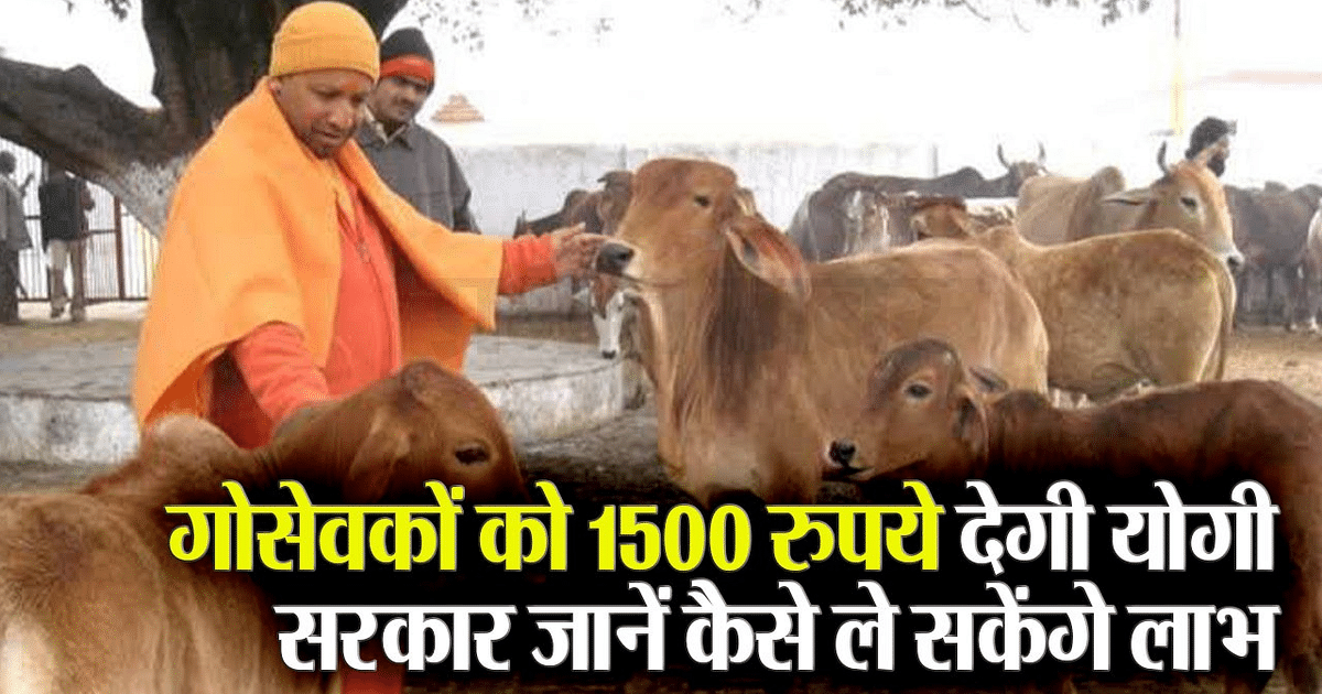 UP Government Big Announcement: Yogi government will now give Rs 1500 every month to Gosevaks
