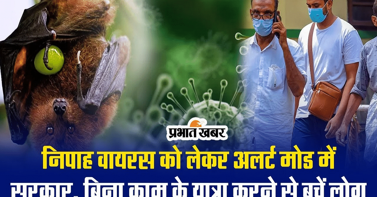 VIDEO: Nipah virus increases concern, advice to avoid unnecessary travel in affected areas of Kerala
