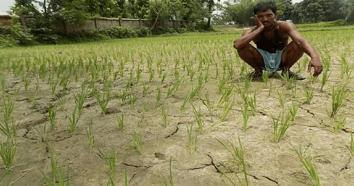 Weather News: IMD forecast, less rain and more heat in the first fortnight of September in Bihar