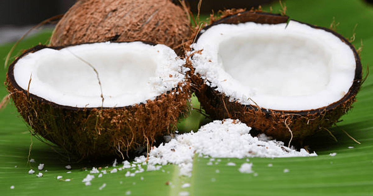 World Coconut Day 2023: Know what is the importance of celebrating it