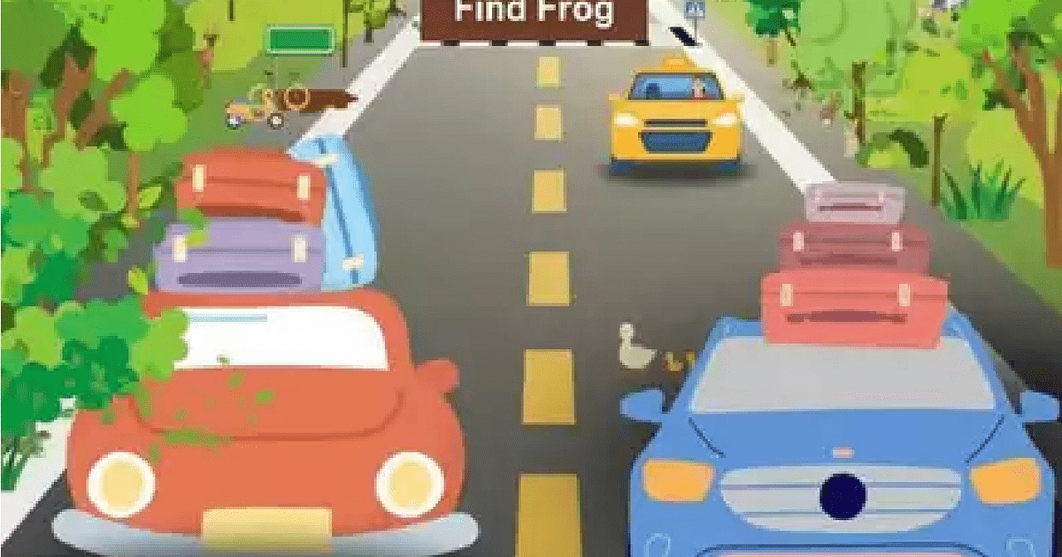 There is a frog on the highway, find it in 30 seconds, then people will consider you a genius.