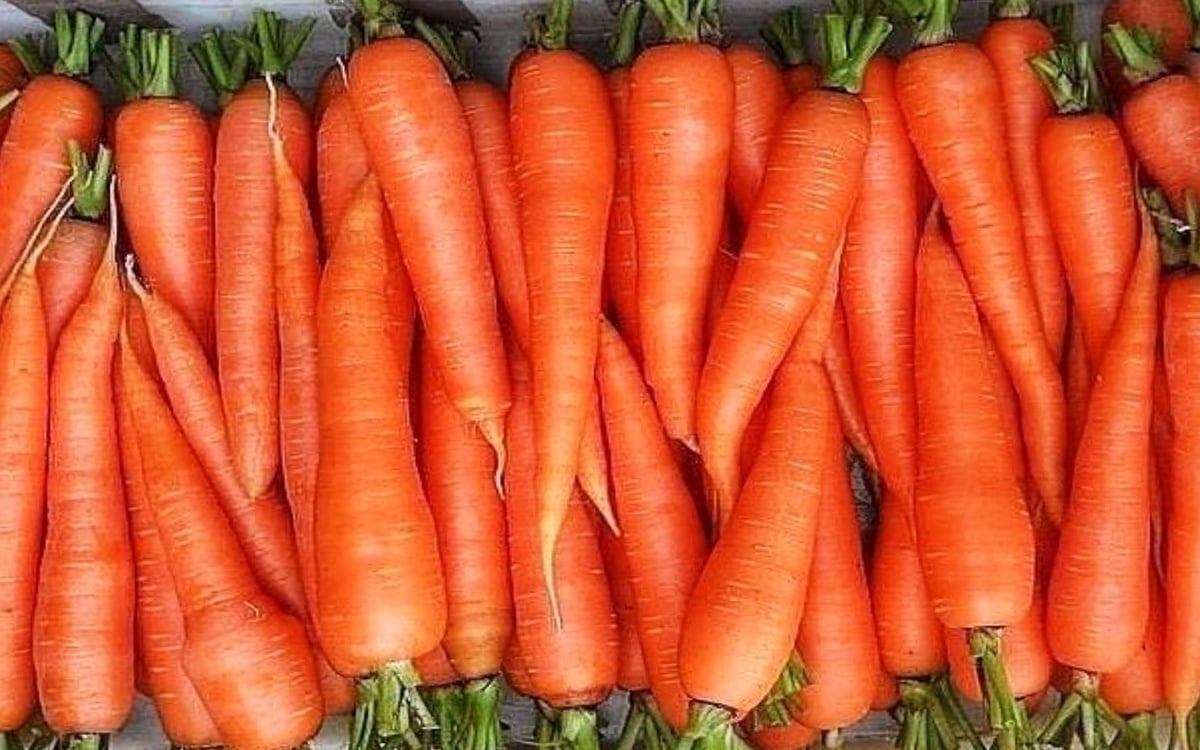 Carrot Juice Benefits: Drink a glass of carrot juice every day in winter, it does magic on high uric acid.