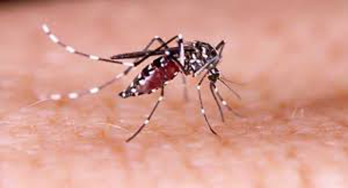 Dengue outbreak in Bihar, number of infected people crossed 14 thousand, know where most patients were found
