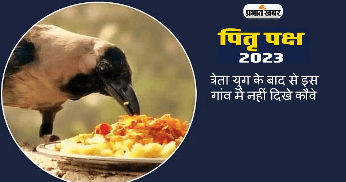 Pitru Paksha 2023: Crows not seen in this village since Treta Yuga, know the secret behind it
