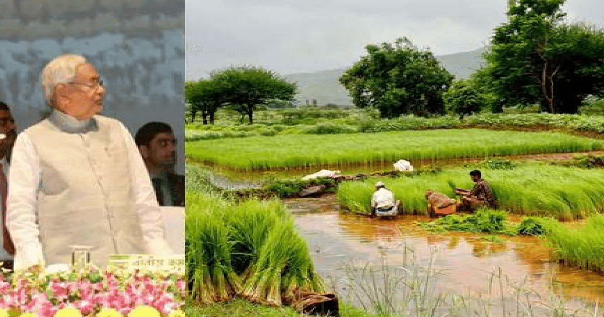 There will be a big change in the farming of Bihar, scientists told how to become rich with the fourth agricultural road map.