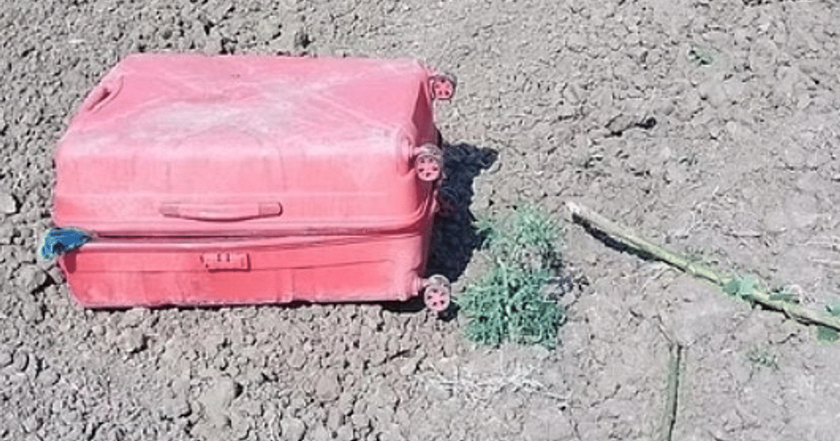 UP News: Skeleton found in a suitcase on the side of the highway in Ballia, the body has been cut into many pieces, whose is it?  Police are investigating