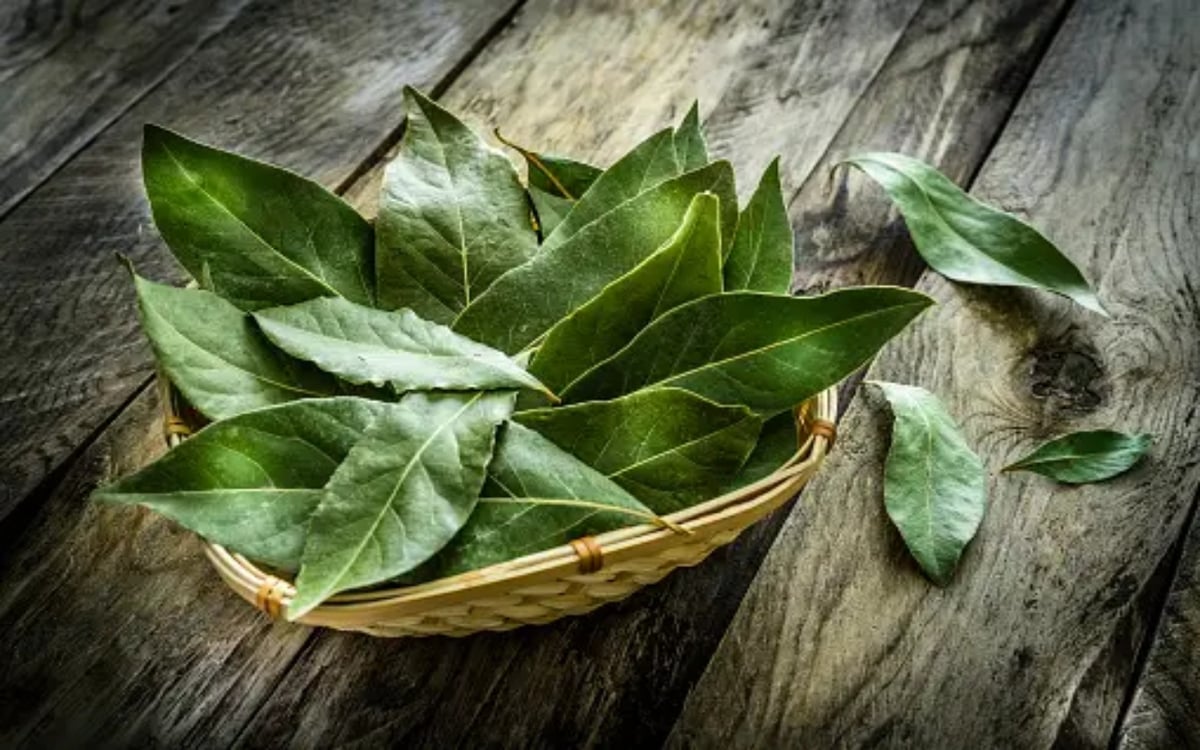 Photos: Bay leaf is best not only for enhancing the taste of food, but also for these things