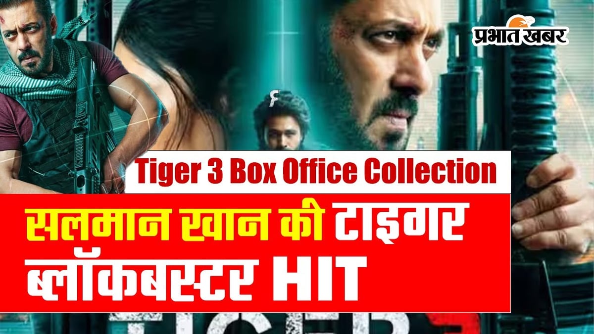 Tiger 3 Box Office Collection: Salman Khan's Tiger 3 FLOP or HIT, know the collection till now here