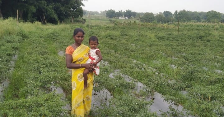 Ajanti Oraon, a tribal woman of Lohardaga, on the path of progress by cultivating vegetables through drip method.