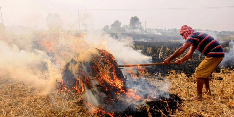 Big action on stubble burning in UP, three accountants suspended in Maharajganj, 10 farmers jailed and FIR registered against 28