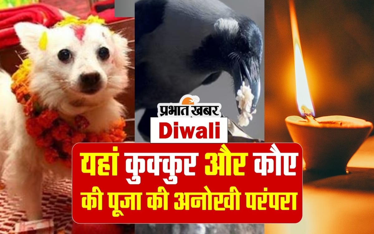 Diwali 2023: Unique tradition of worshiping kukkur and crow during Diwali in this country, watch video