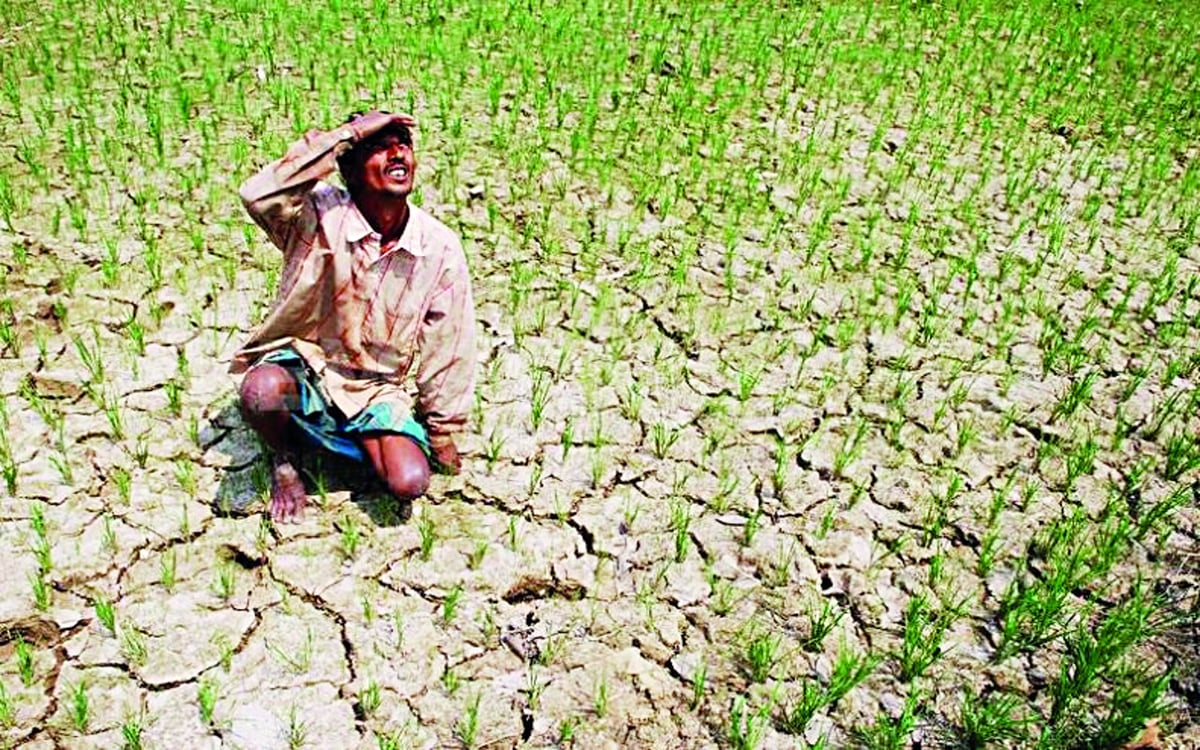 Farmers of Odisha are committing suicide, Naveen Patnaik government is not losing sleep, said Maheshwar Sahu