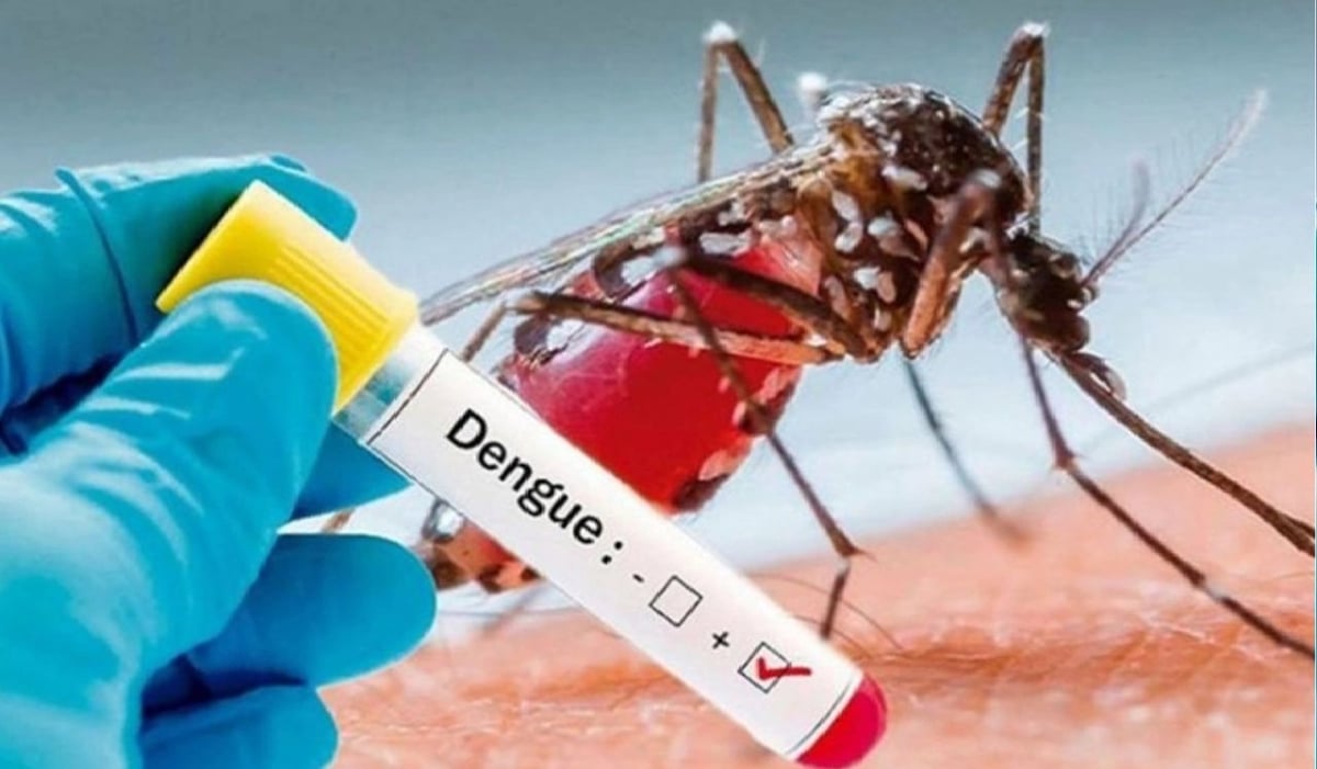 Health department is testing dengue with only NS 1 kit, patients become healthy even before the report of the sample comes.