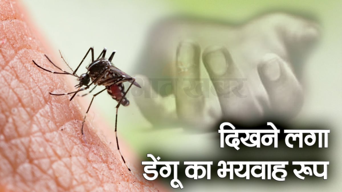 Liver and kidneys of dengue infected patients are also deteriorating, children are now falling prey to the infection.