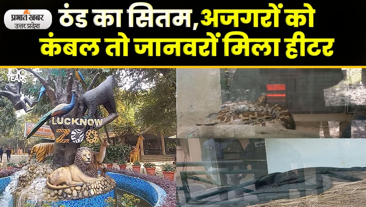 Lucknow zoo: This is how preparations have been made to save animals before winter, special arrangements for lion, cheetah and bird.