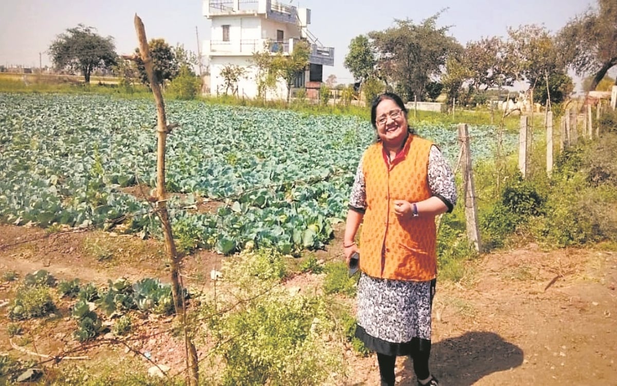 Mathematics teacher is teaching self-reliance, fate of farmers changed through organic farming