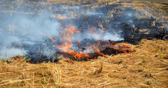 Names of farmers who burn straw in Bihar will be put on the block office, Nitish government took many tough decisions