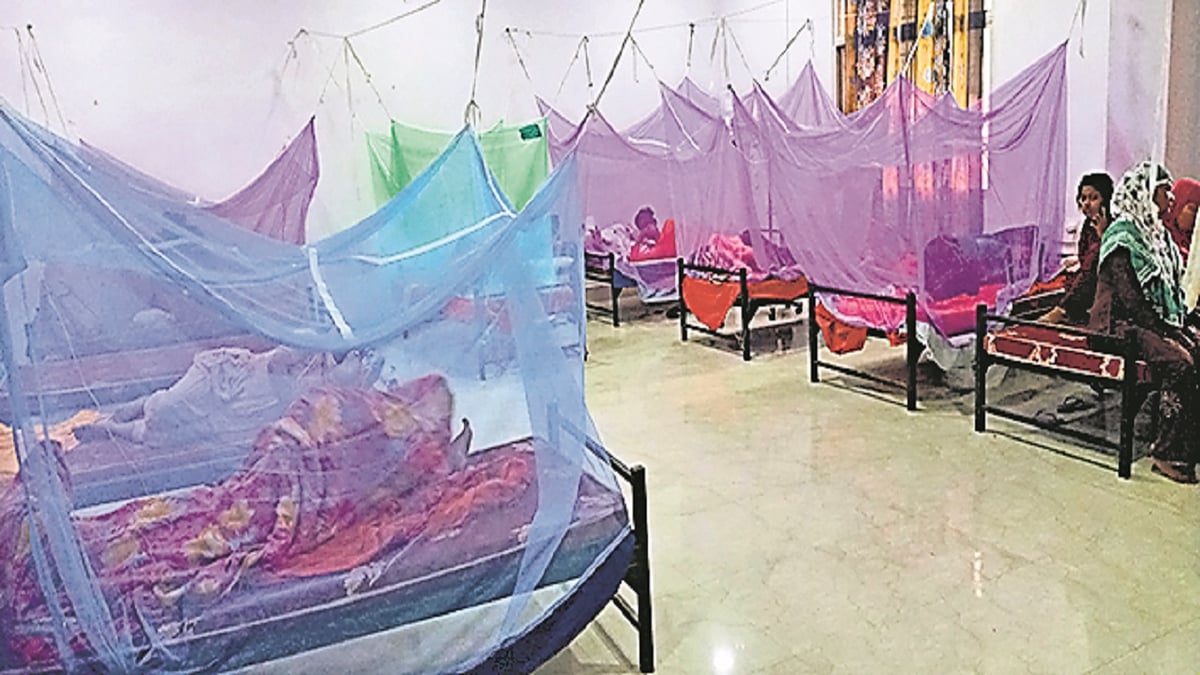 Only 81 dengue patients found in Bihar on Diwali, figure crosses 7939 in Patna