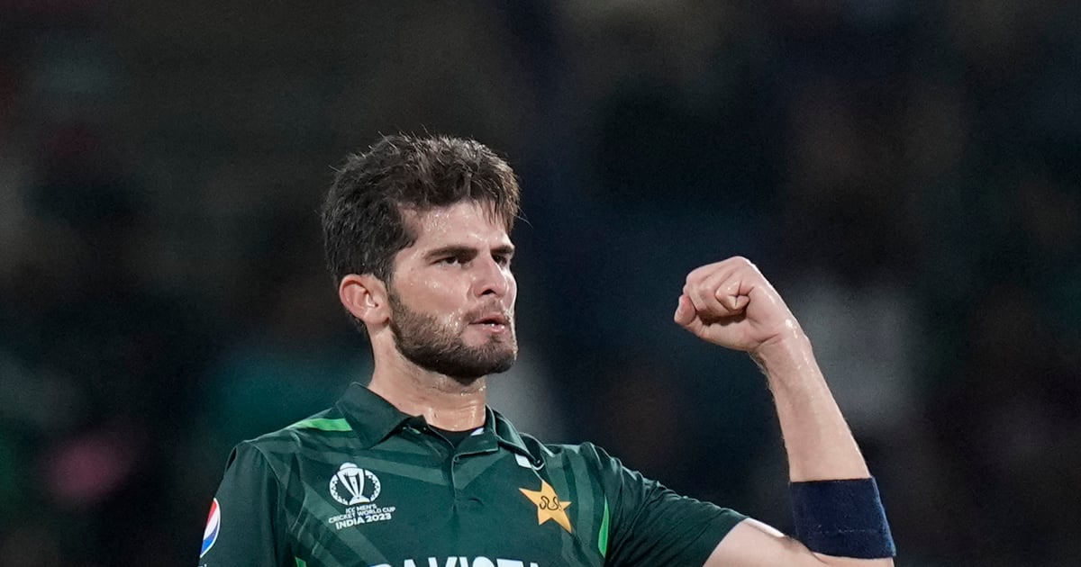 Pakistan appointed Shan Masood as Test and Shaheen Afridi as T20 captain, no information about ODI